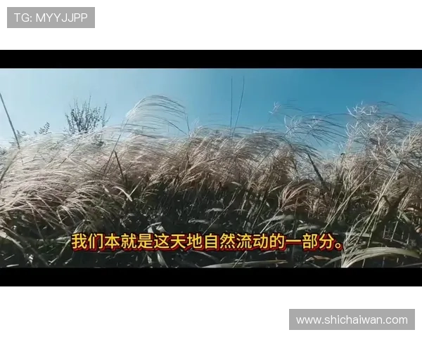 《天意》：一场跨越时空的奇遇，一场关乎命运的宏大叙事